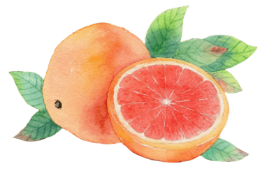 Illustration d'un pamplemousse